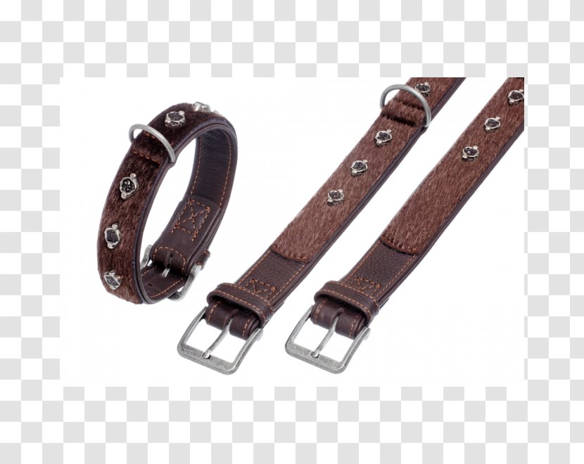 Dog Collar Leash Leather - Bont Transparent PNG