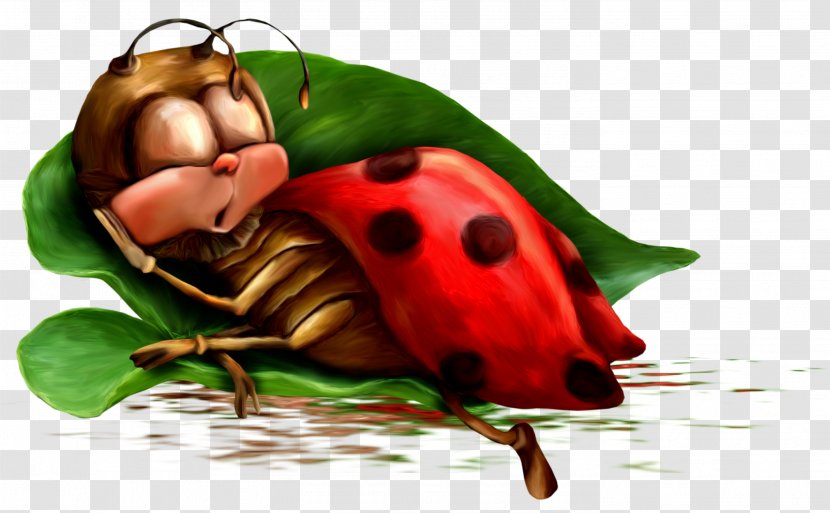 Night Animation Morning Photography - Fruit - Ladybug Transparent PNG