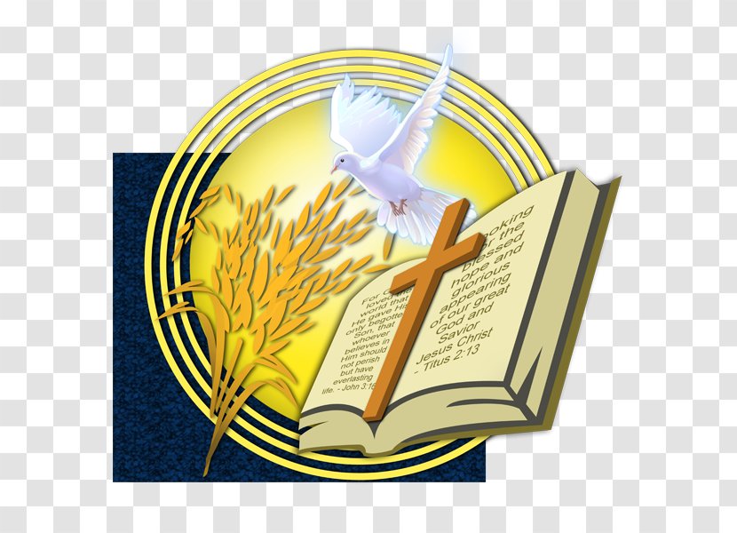 Word Of Hope Christian Family Church - Reformation - Bagumbong ChurchChurch Transparent PNG