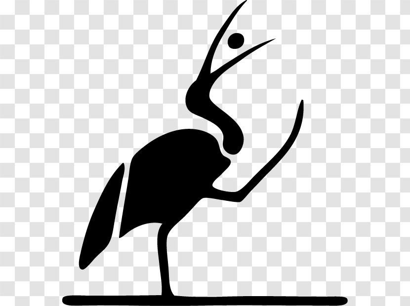 Reproductive Health Birth Control Beak Clip Art - Ibis Transparent PNG