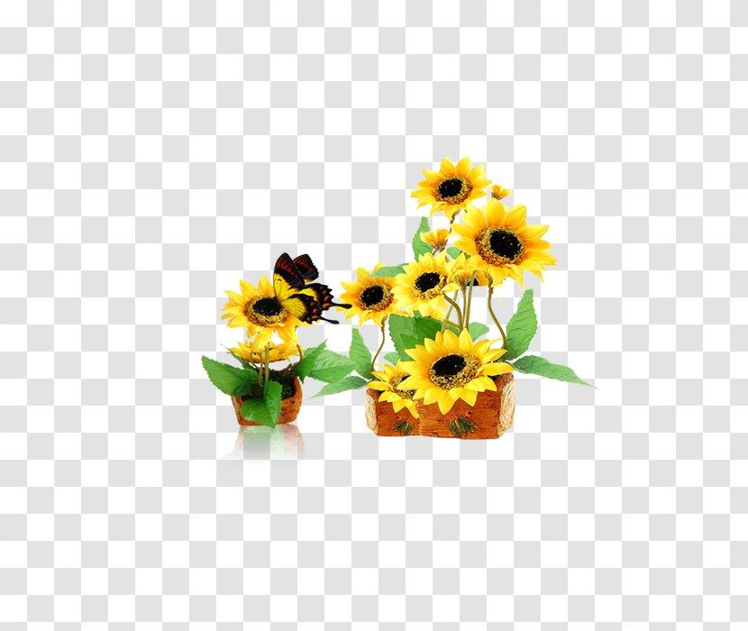Common Sunflower Yellow - Floristry Transparent PNG