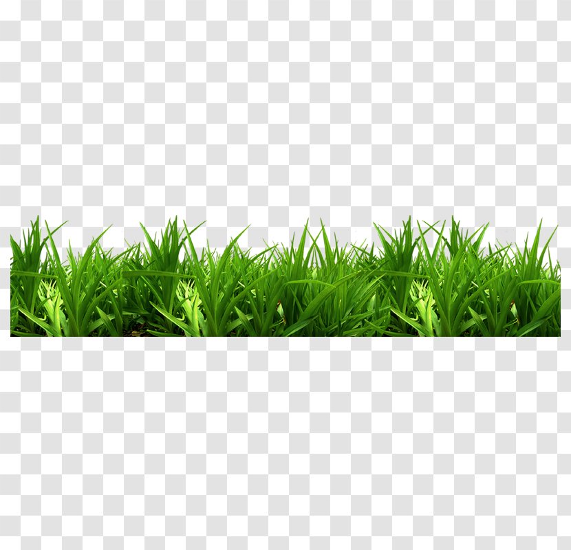 Bench Park Clip Art - Grass Transparent PNG