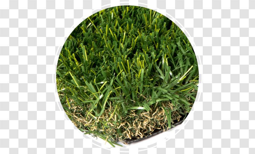 Artificial Turf Lawn Landscape Grasses - It - Grassy Area Transparent PNG