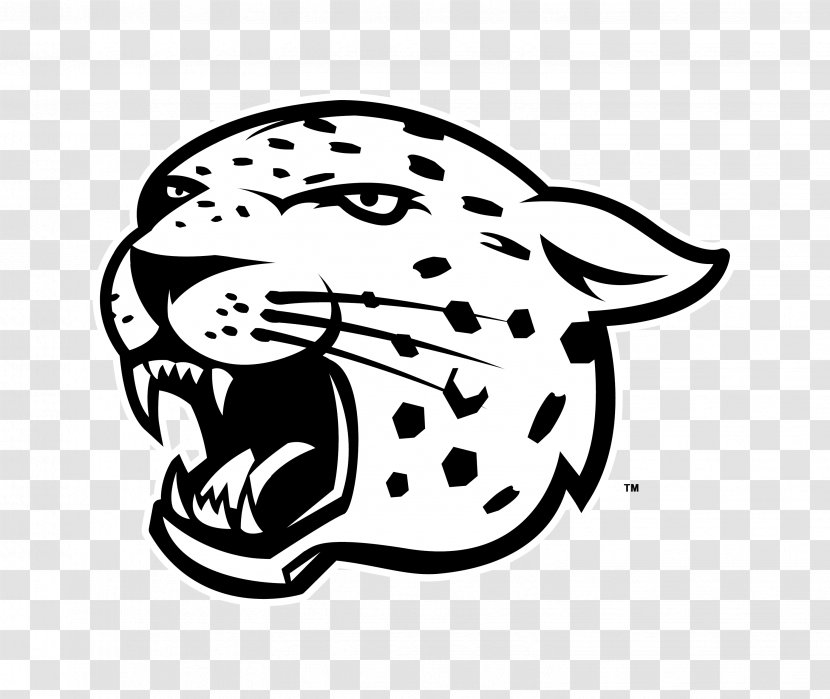Leopard Jaguar Logo Drawing Clip Art - Arctic Fox Transparent PNG