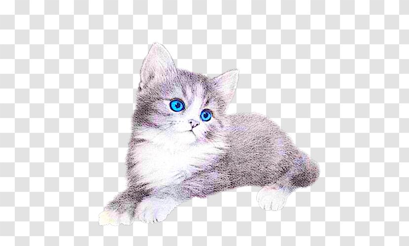 Cat Kitten Clip Art - American Wirehair Transparent PNG