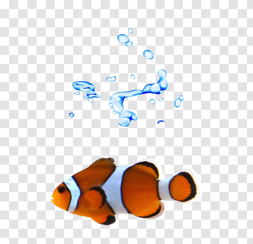 T-shirt Clownfish - Fish Swimming Transparent PNG