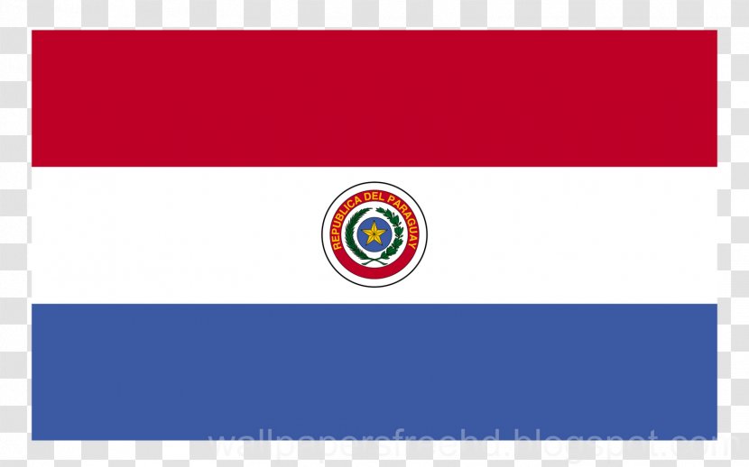 Flag Of Paraguay Ciudad Del Este National United States - Diagram Transparent PNG