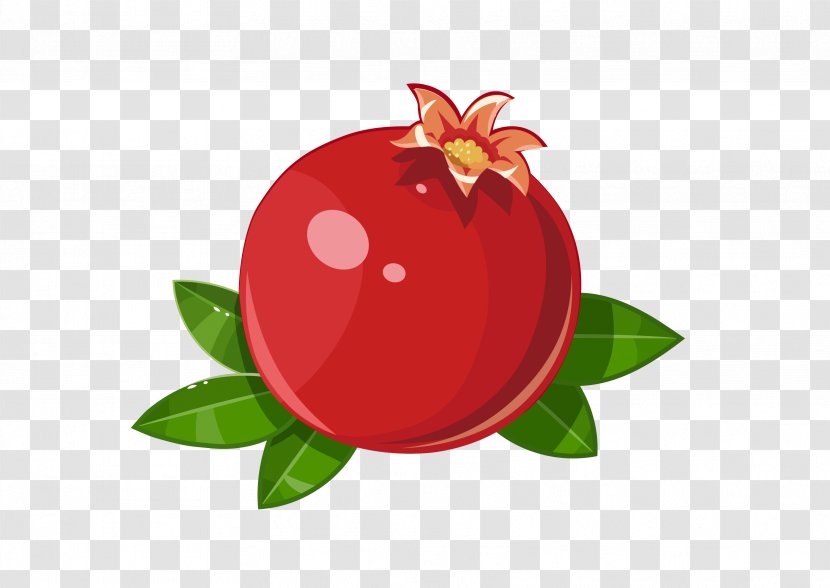 Pomegranate Frutti Di Bosco Fruit Illustration - Ripening - Vector Transparent PNG