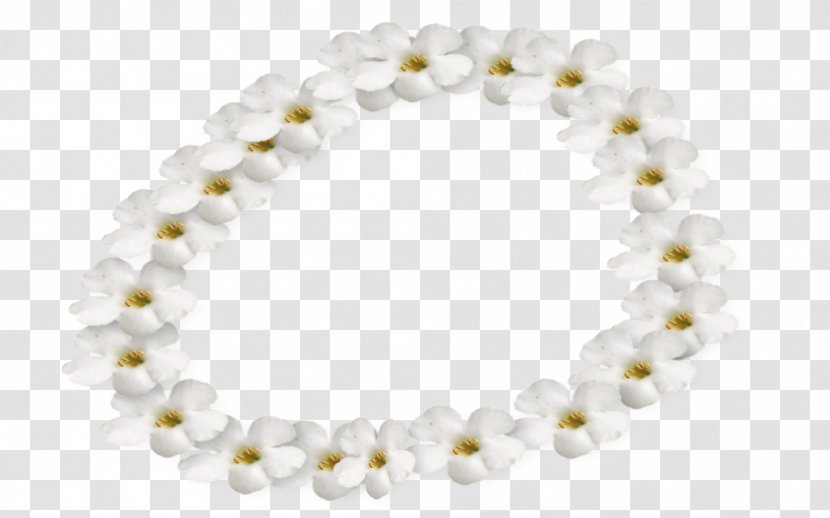 Pearl Necklace Bead Body Jewellery Material Transparent PNG