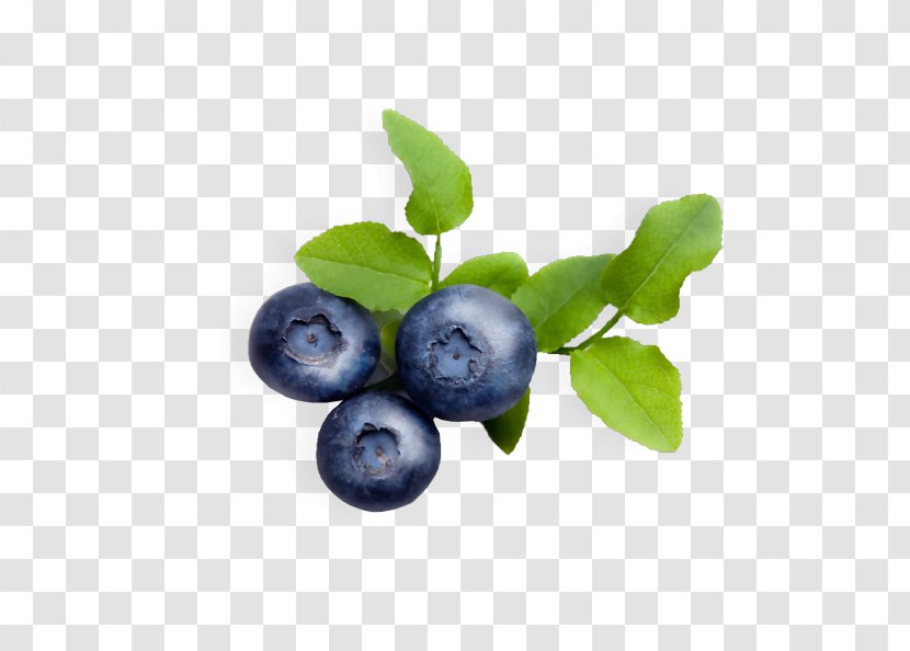 Blueberry Juice Varenye Tea Bilberry Transparent PNG