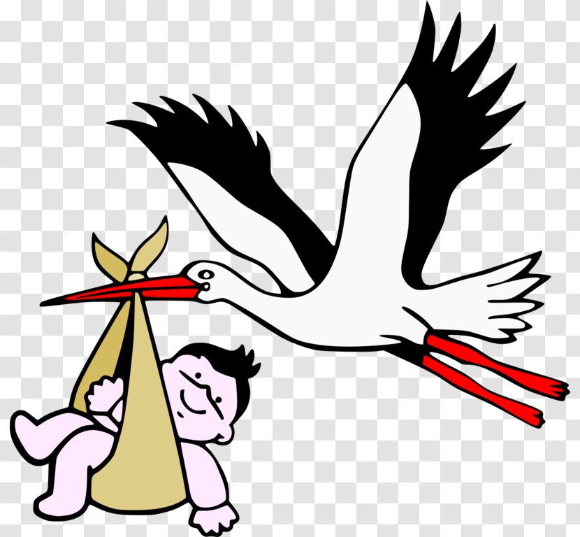 United States Child Birth Family Gynaecology - Pregnancy - Baby Stork Images Transparent PNG
