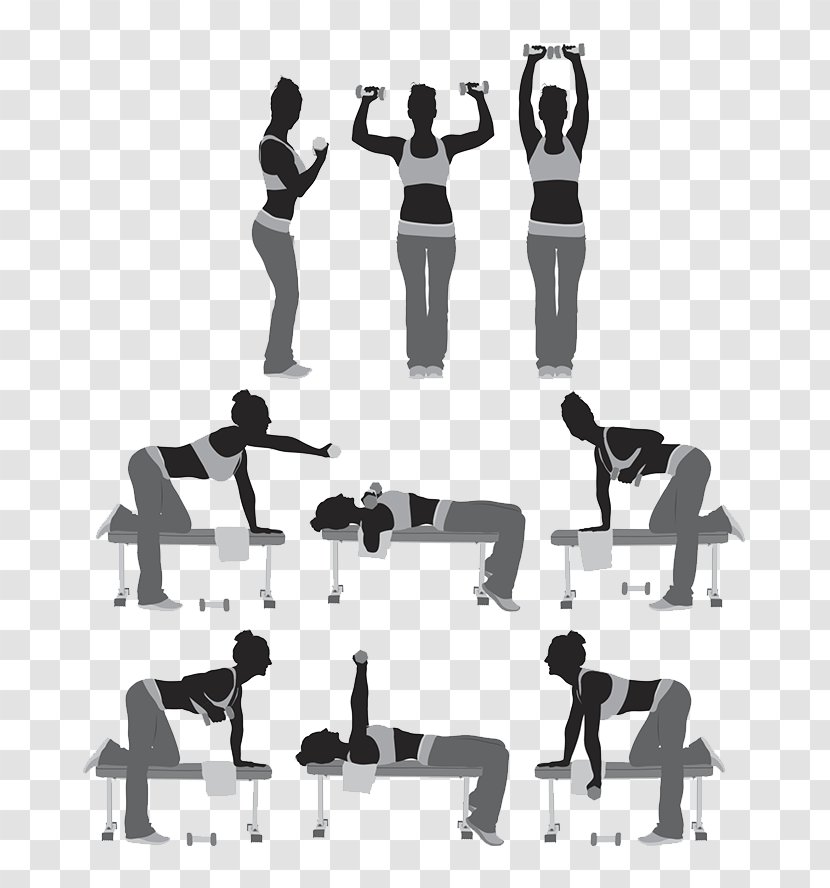 Silhouette Wellness SA Weight Training Illustration - Shoulder - Fitness Silhouettes Transparent PNG