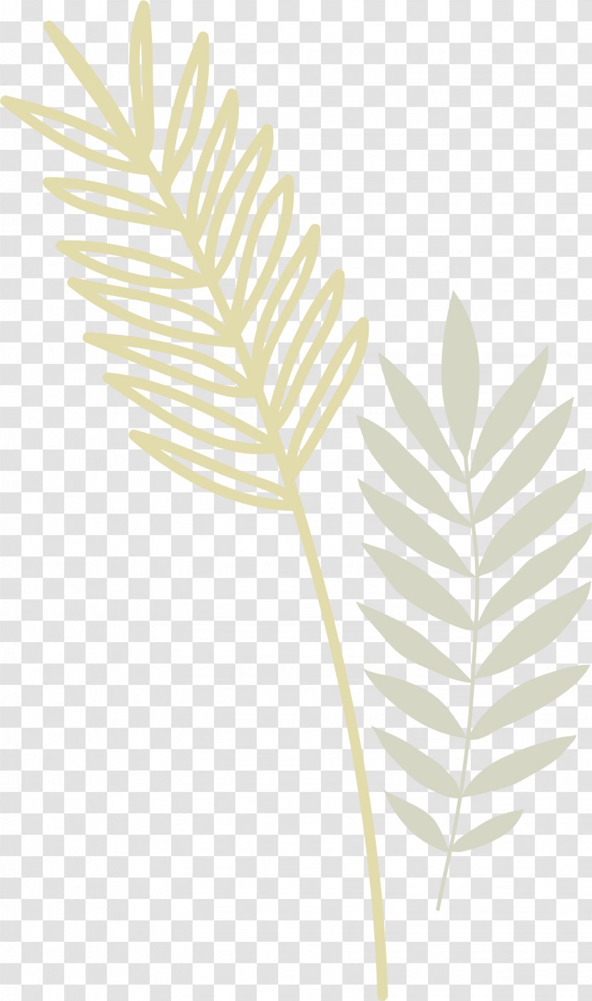 Leaf Euclidean Vector - Grasses Transparent PNG