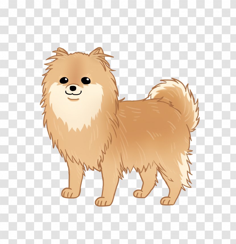 German Spitz Klein Pomeranian Mittel Dog Breed Rare (dog) - Puppy Transparent PNG