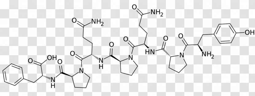 Gliadorphin Gliadin Peptide Gluten Proline - Tree - Heart Type Transparent PNG