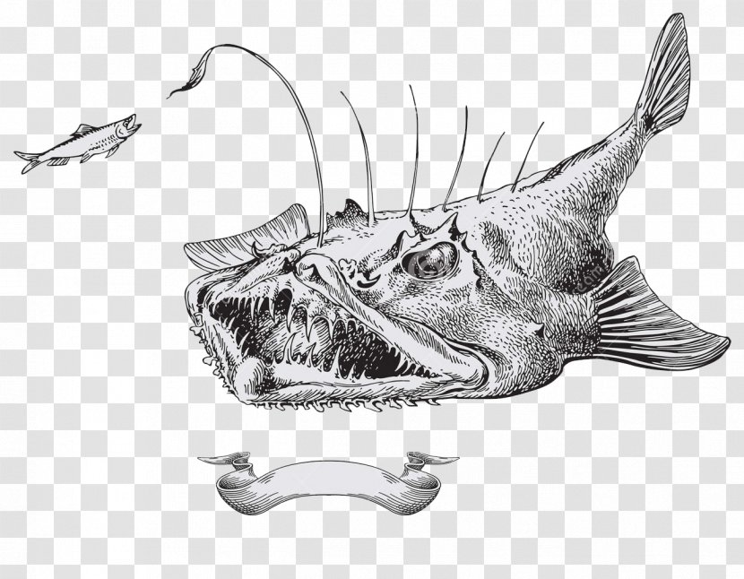 Drawing Devil Fish Illustration - Monochrome Photography - Hand Painted Transparent PNG