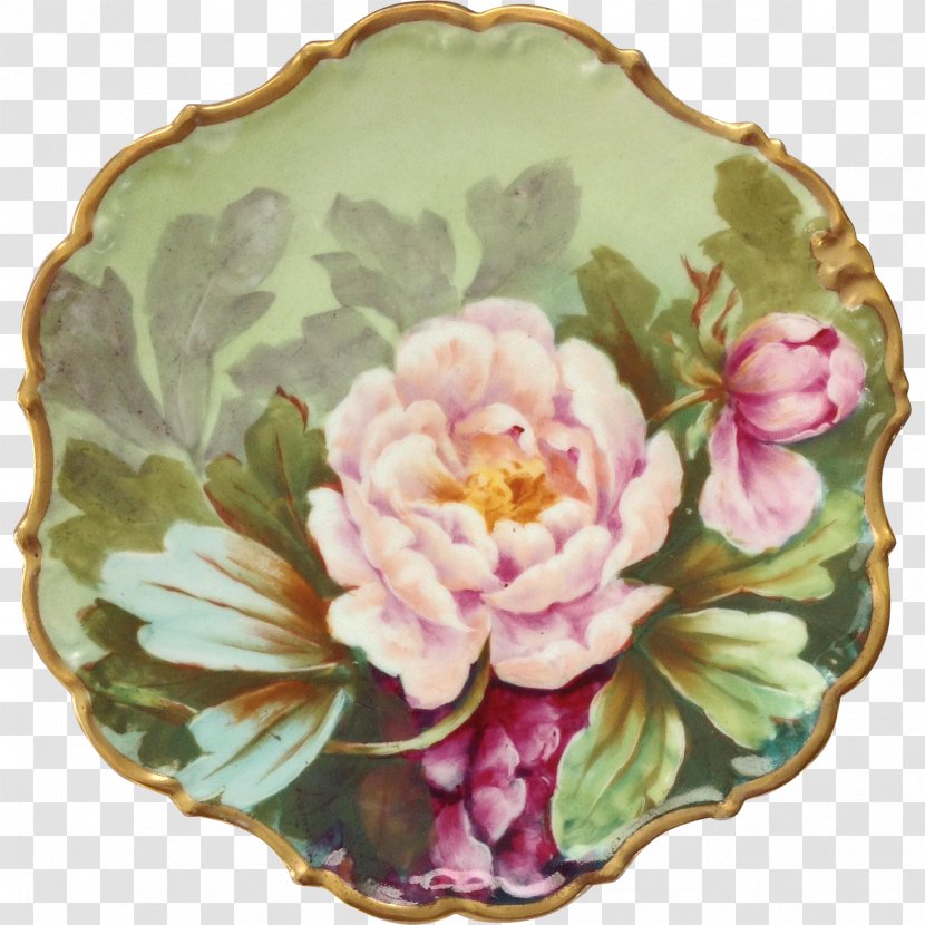 Plate Limoges Porcelain Painting Cabbage Rose - Flower Transparent PNG