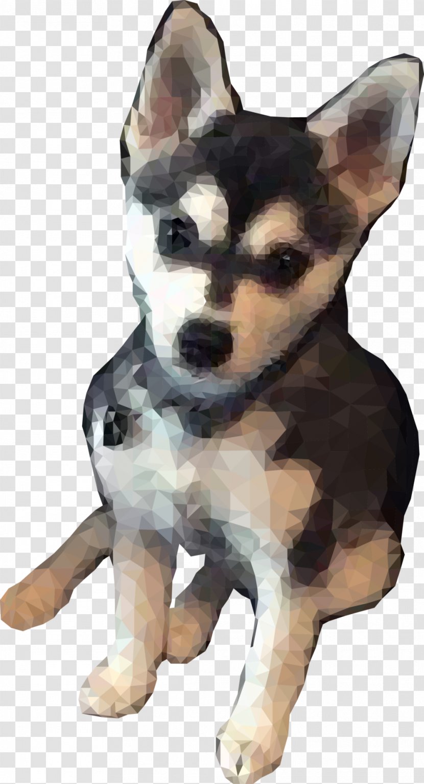 Dog Breed Siberian Husky Alaskan Klee Kai Rat Terrier Toy Fox - Pranayama Transparent PNG