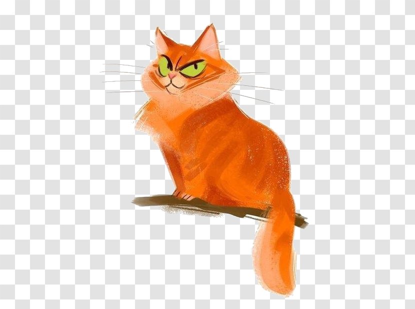 Sphynx Cat Snowshoe Kitten Drawing Illustration - Mammal - Cartoon Orange Transparent PNG