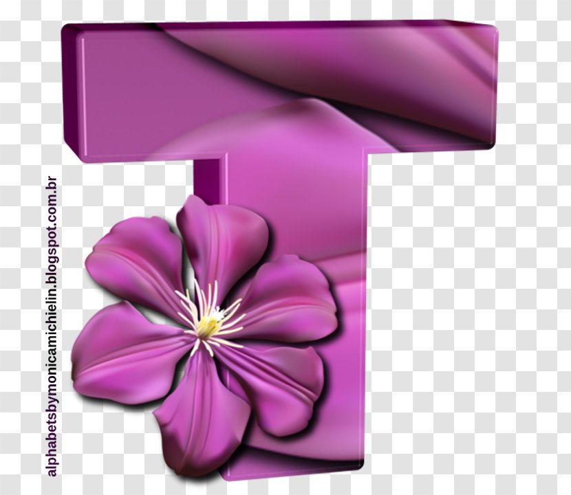 Alphabet Penguin Purple Flower Flora - Magenta - Flowers Letter O Transparent PNG