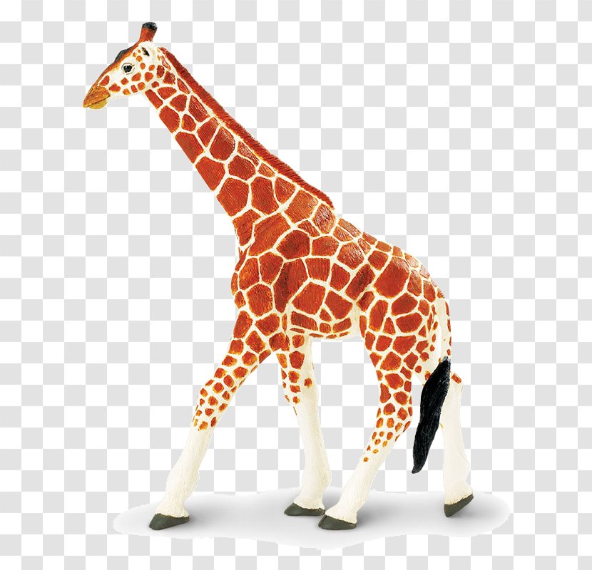 Reticulated Giraffe Toy Wildlife Safari Ltd Animal Figurine Transparent PNG