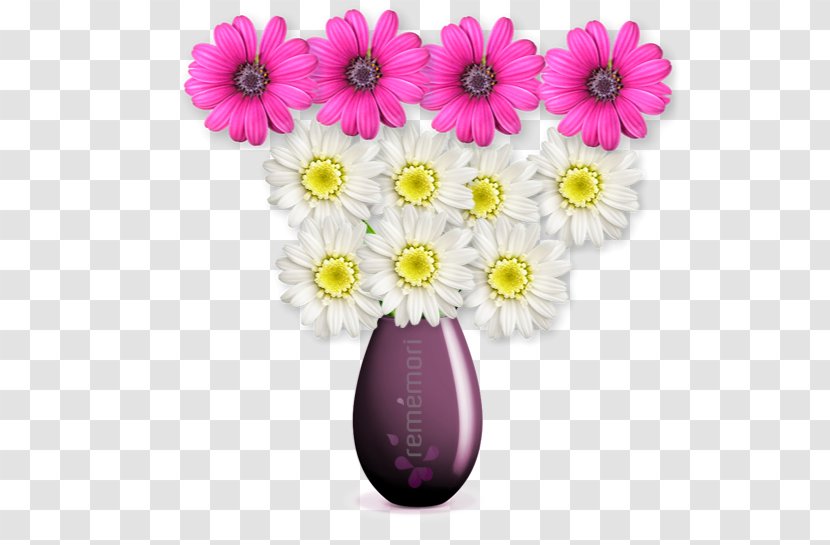 Obituary Condolences Floristry Cut Flowers Flower Bouquet - Transvaal Daisy - Trovat Transparent PNG