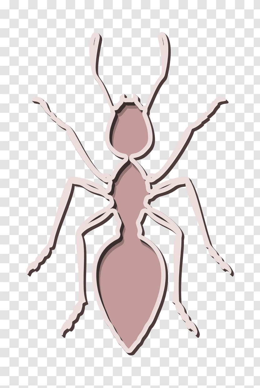 Animal Kingdom Icon Ant Icon Animals Icon Transparent PNG