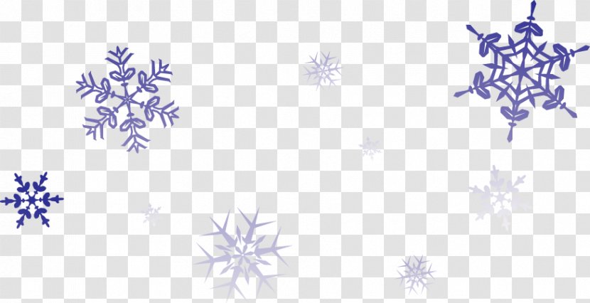 Snowflake Pattern Email Discounts And Allowances Winter - Branch - Savings Transparent PNG