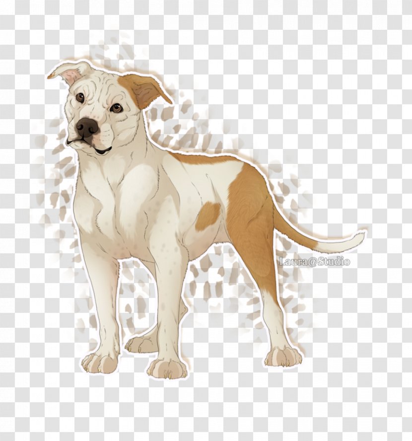 Dog Breed Non-sporting Group Leash - American Staffordshire Terrier Transparent PNG