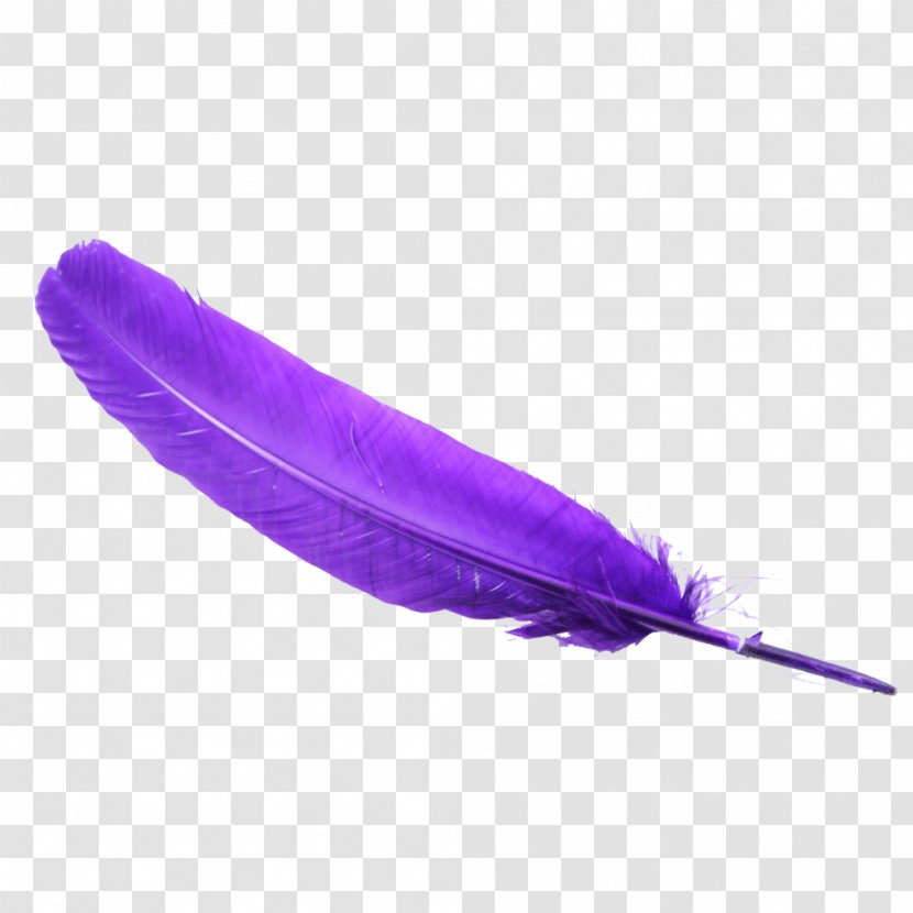 Feather Bird - Purple Transparent PNG