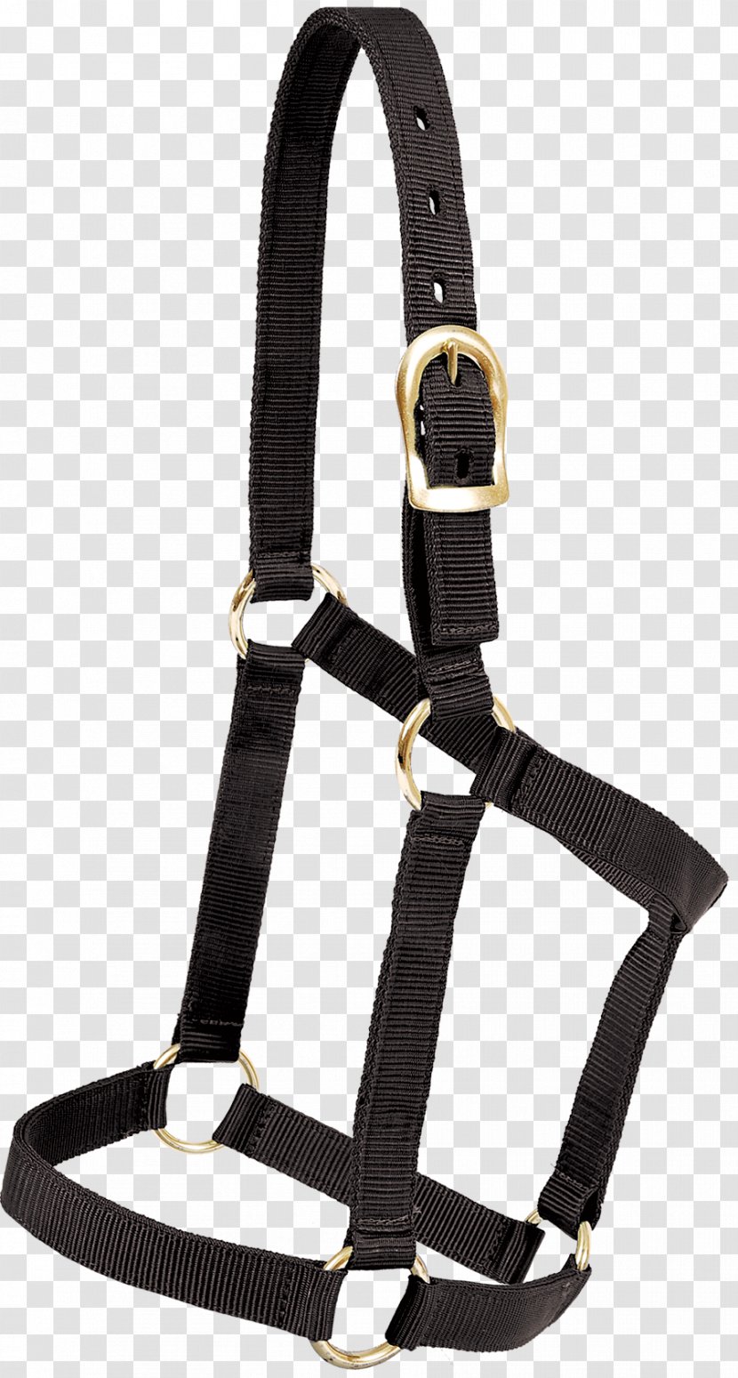 Horse Welsh Pony And Cob Halter Nylon Lead Transparent PNG