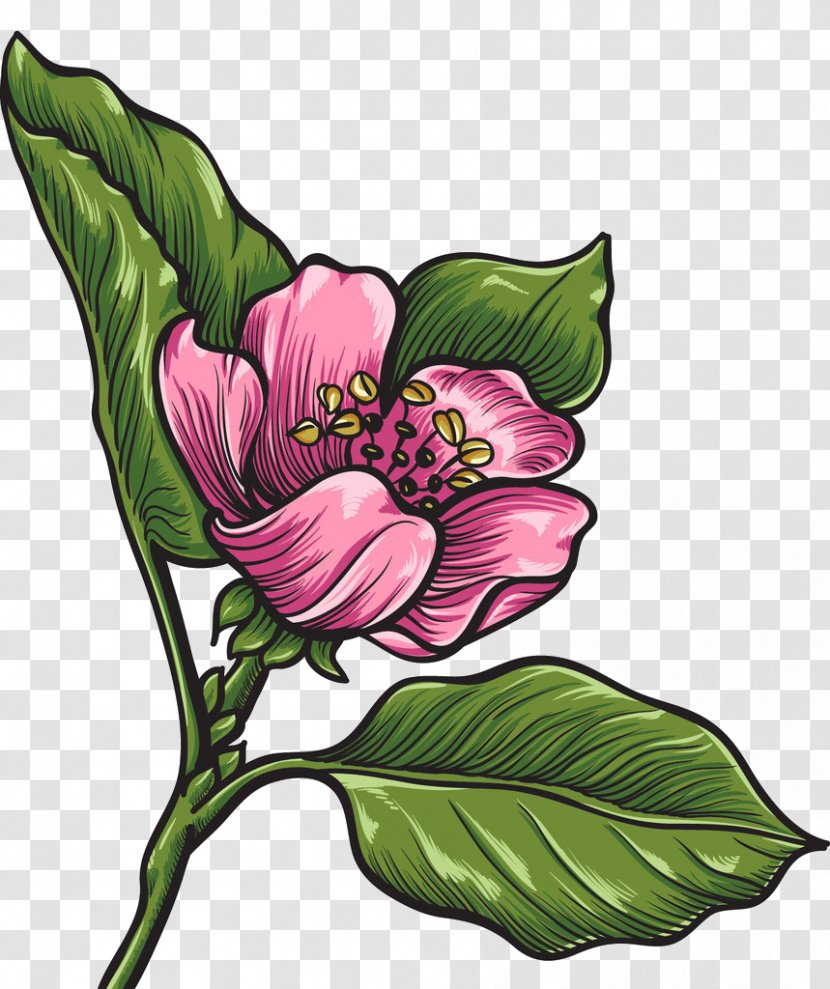 Vector Graphics Drawing Image Design - Flower Transparent PNG