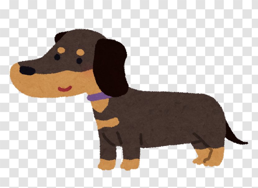 Dachshund Dog Breed Puppy Cat Black & Gold - Clothes - Weiner Dogs Transparent PNG
