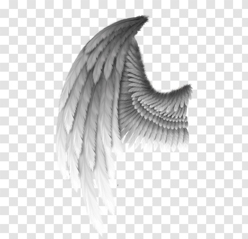 Angel Clip Art - Monochrome Transparent PNG