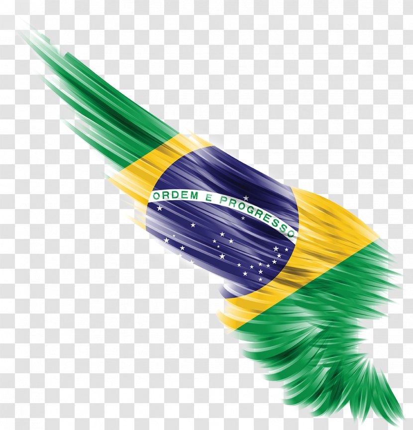 Flag Of Bulgaria Wing Pakistan English - Brazil Transparent PNG