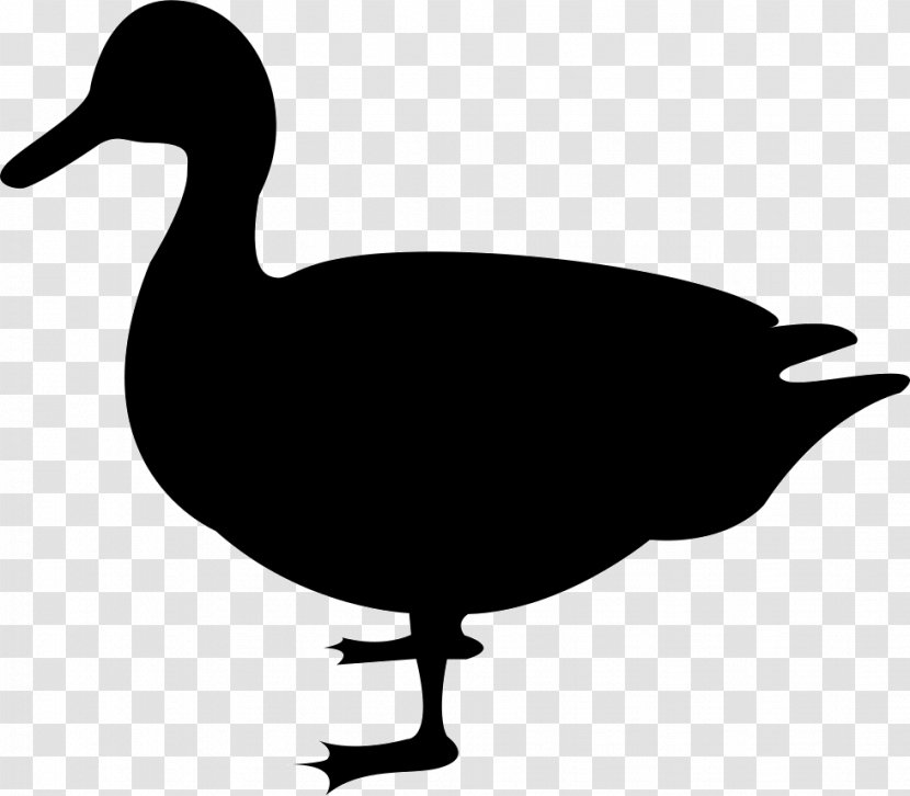 Duck Clip Art Goose Mallard - Beak Transparent PNG