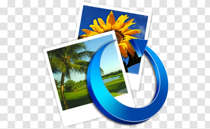 Flower Golf Course Desktop Wallpaper Energy - Computer Transparent PNG