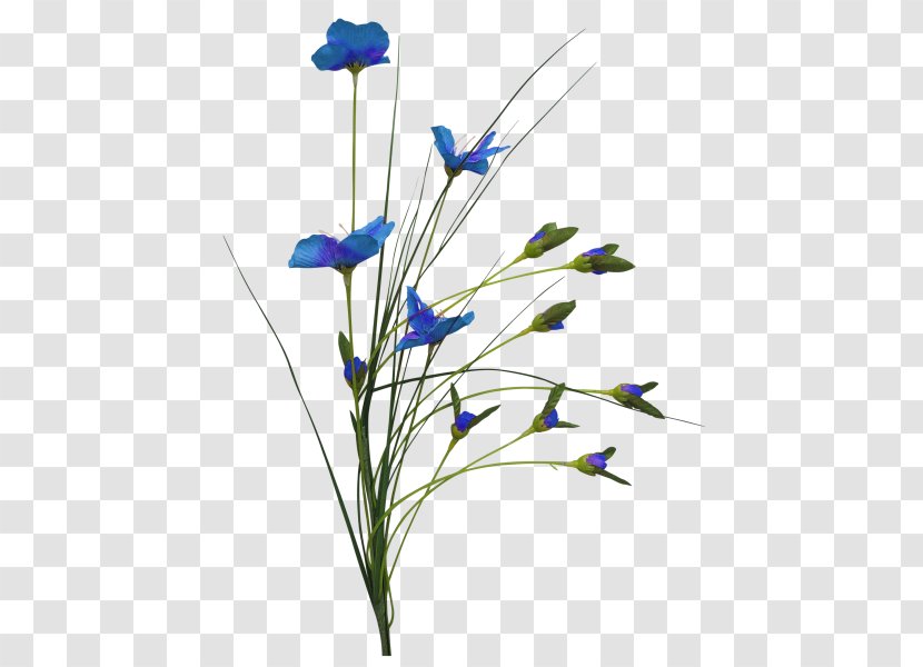 Cut Flowers - Yandex Search - Plant Transparent PNG