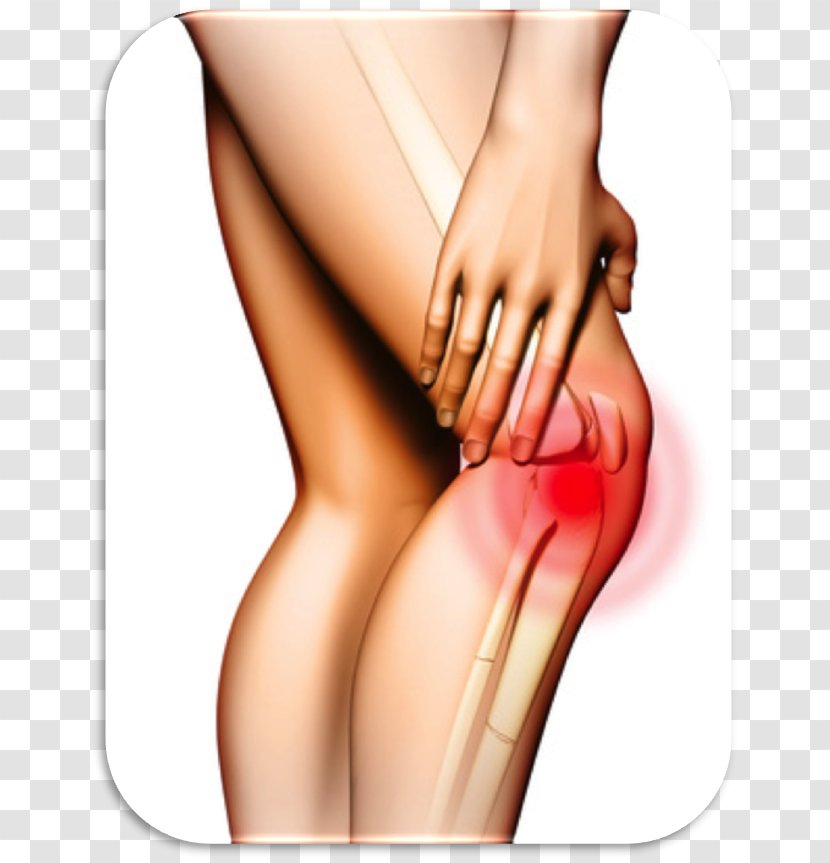 Knee Pain Management Iliotibial Band Syndrome Healing - Flower - Health Transparent PNG