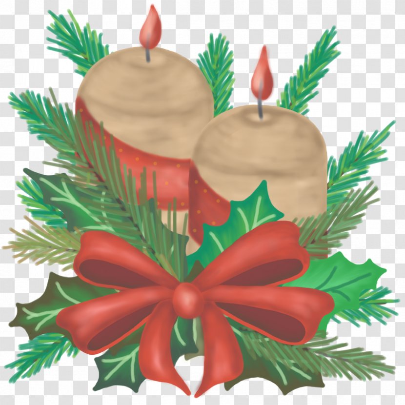 Fir Christmas Ornament Spruce Transparent PNG