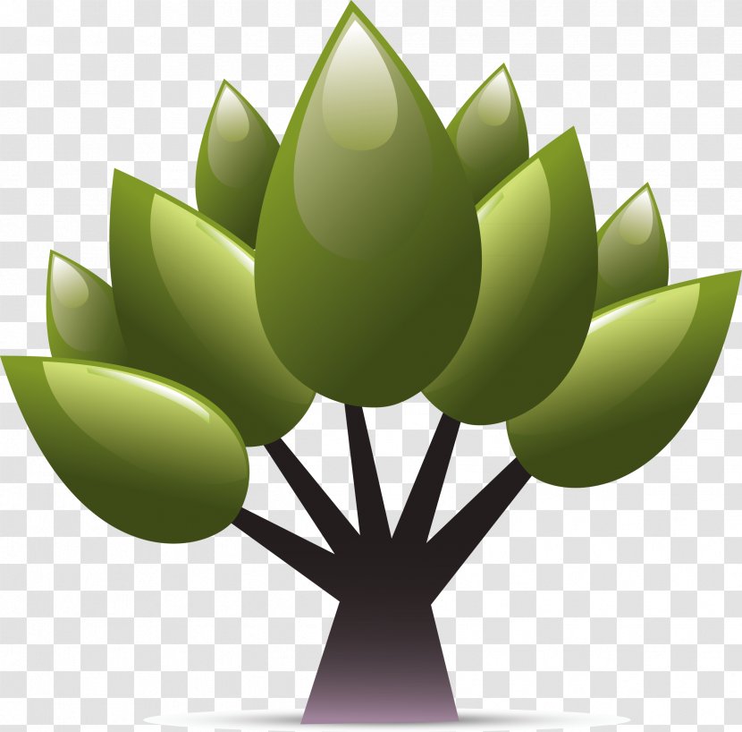 Tree Plant Icon - Stock Photography - Green Palm Elements Transparent PNG