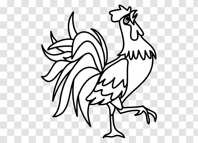 Rooster Chicken Drawing Coloring Book Sign - Branch Transparent PNG