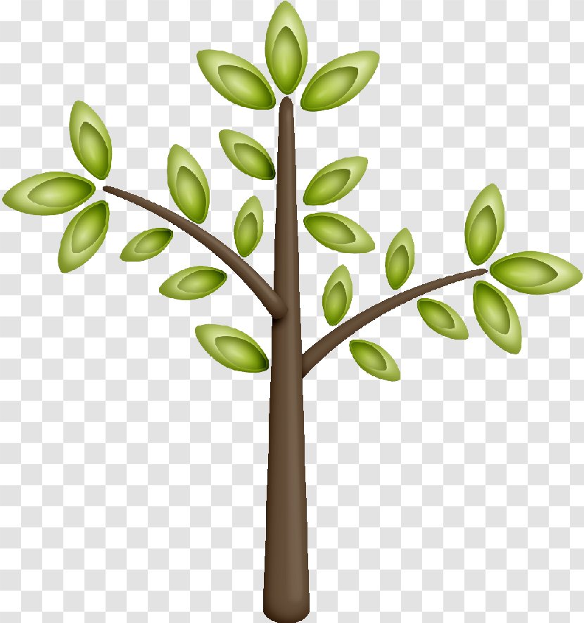 Twig Tree Branch Leaf Plant - Ribbon Transparent PNG