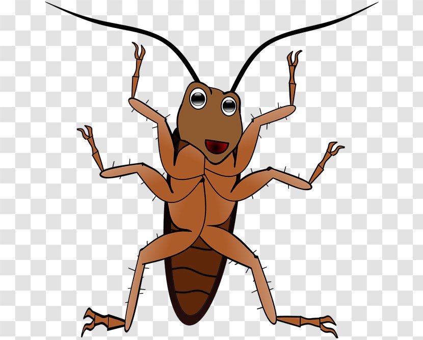 Ant Cartoon - Pest - Mantidae Transparent PNG