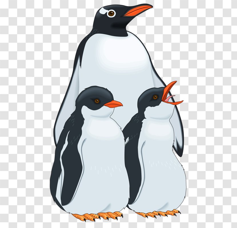 Penguin Clip Art - Gentoo Transparent PNG