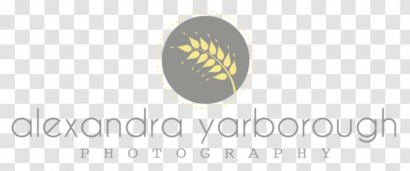 Logo Brand Photography Photographer Transparent PNG