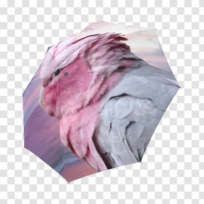 IPhone 6 Galah Cockatoo Umbrella Pink M Transparent PNG