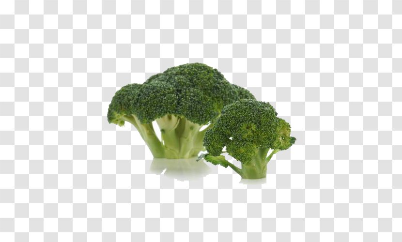 Broccoli Vegetable - Buckle Free Image Transparent PNG