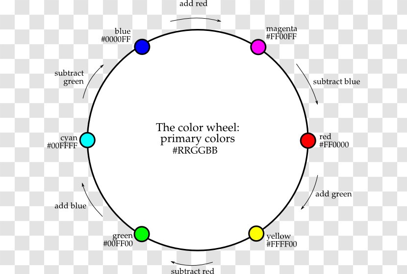 Circle Point Angle Document Organism - Area Transparent PNG