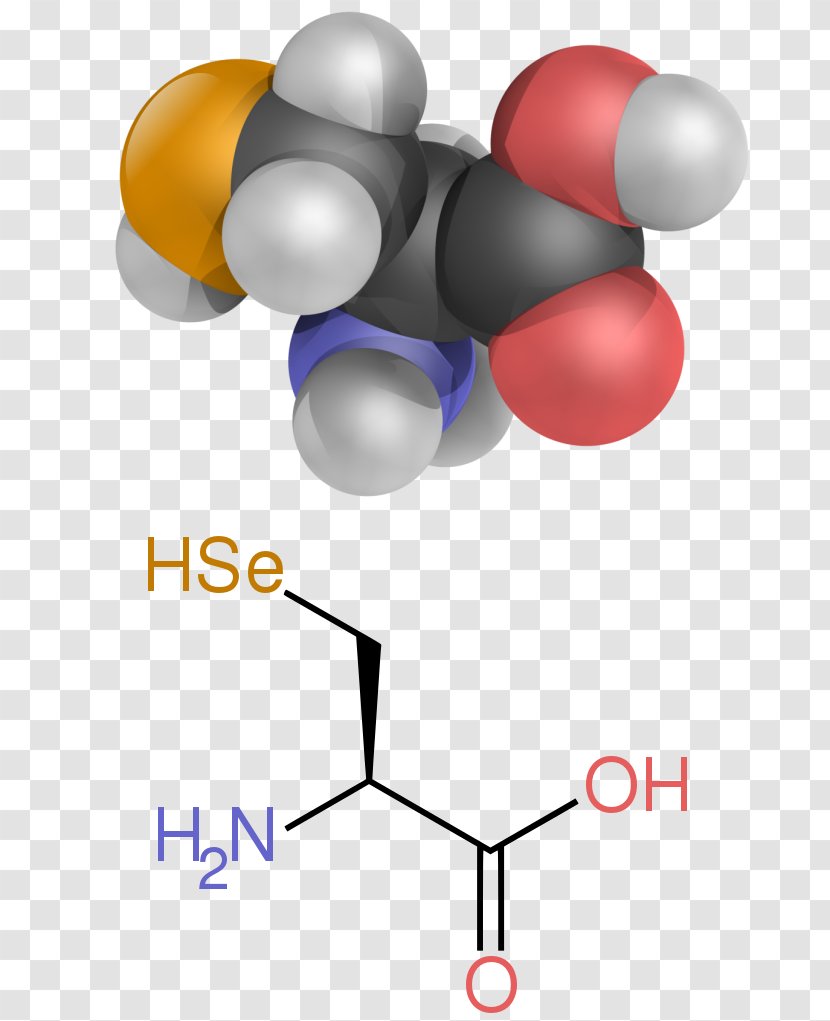 Amino Acid Amine Carboxylic Functional Group - Side Chain - Balloon Transparent PNG